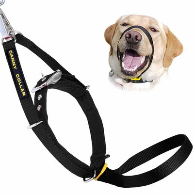 Canny Collar - Pack Of: 1 - Your Pet Connection