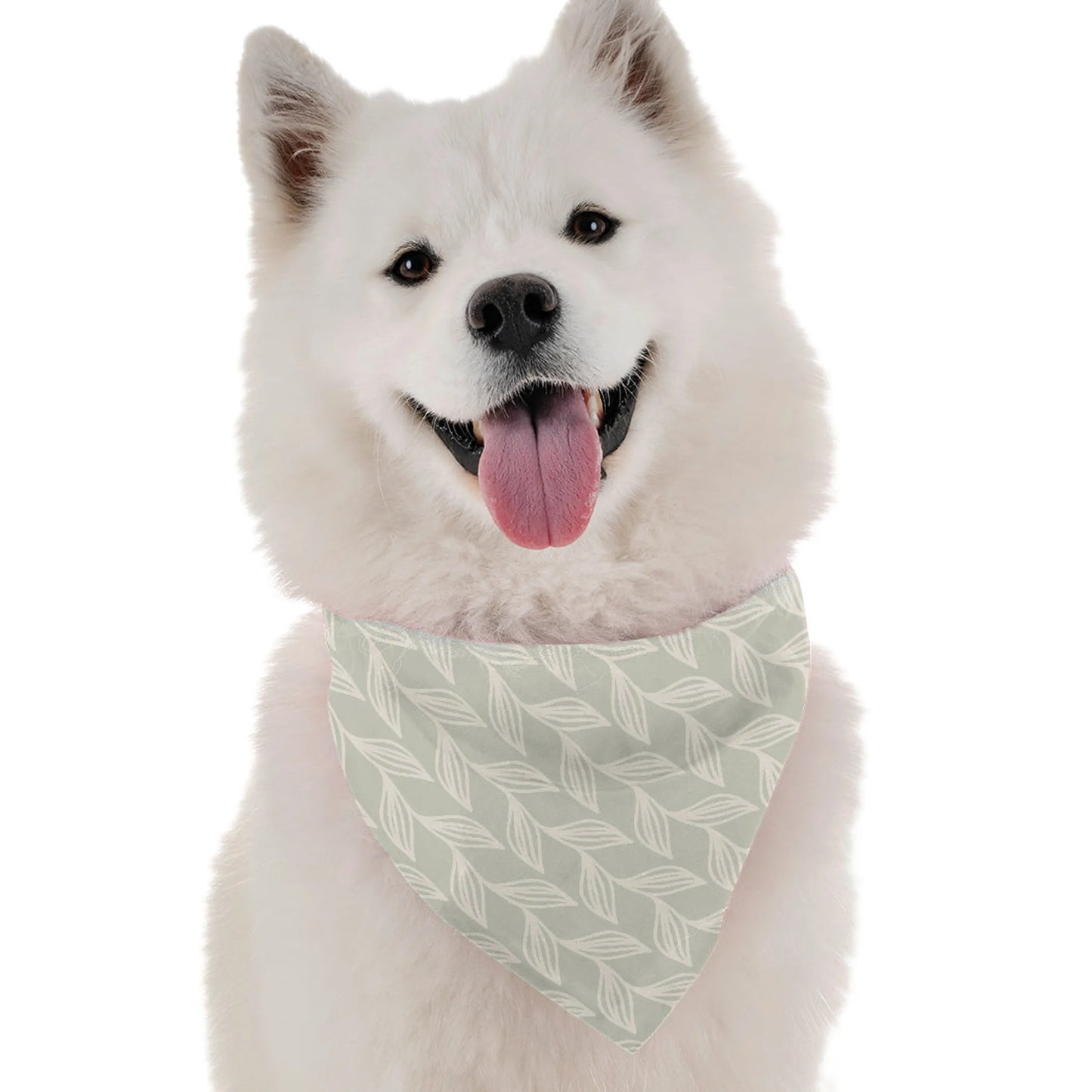 Bandoggies Stylish Dog Bandanas for All Sizes