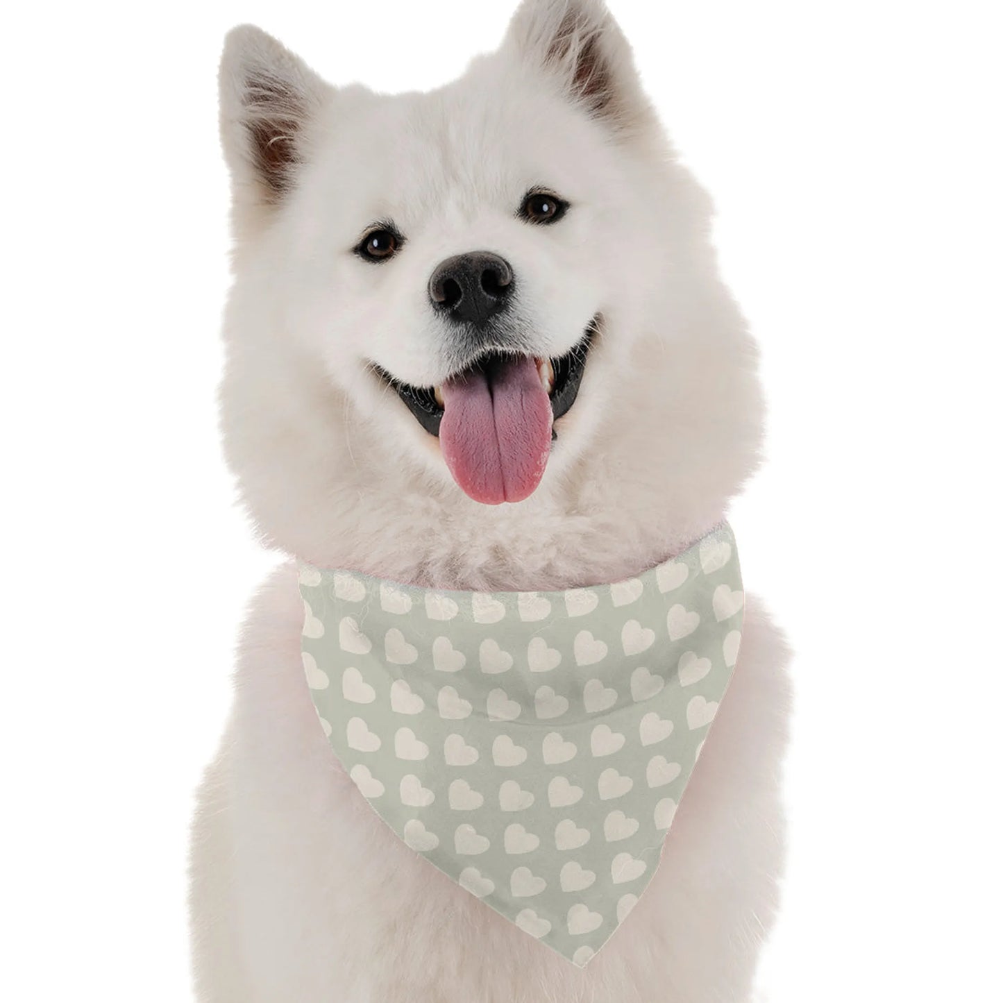 Bandoggies Stylish Dog Bandanas 10-20 inches