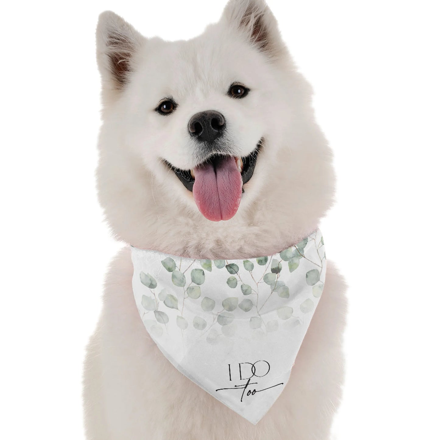 Bandoggies Chic Dog Bandanas 10-22 Inches