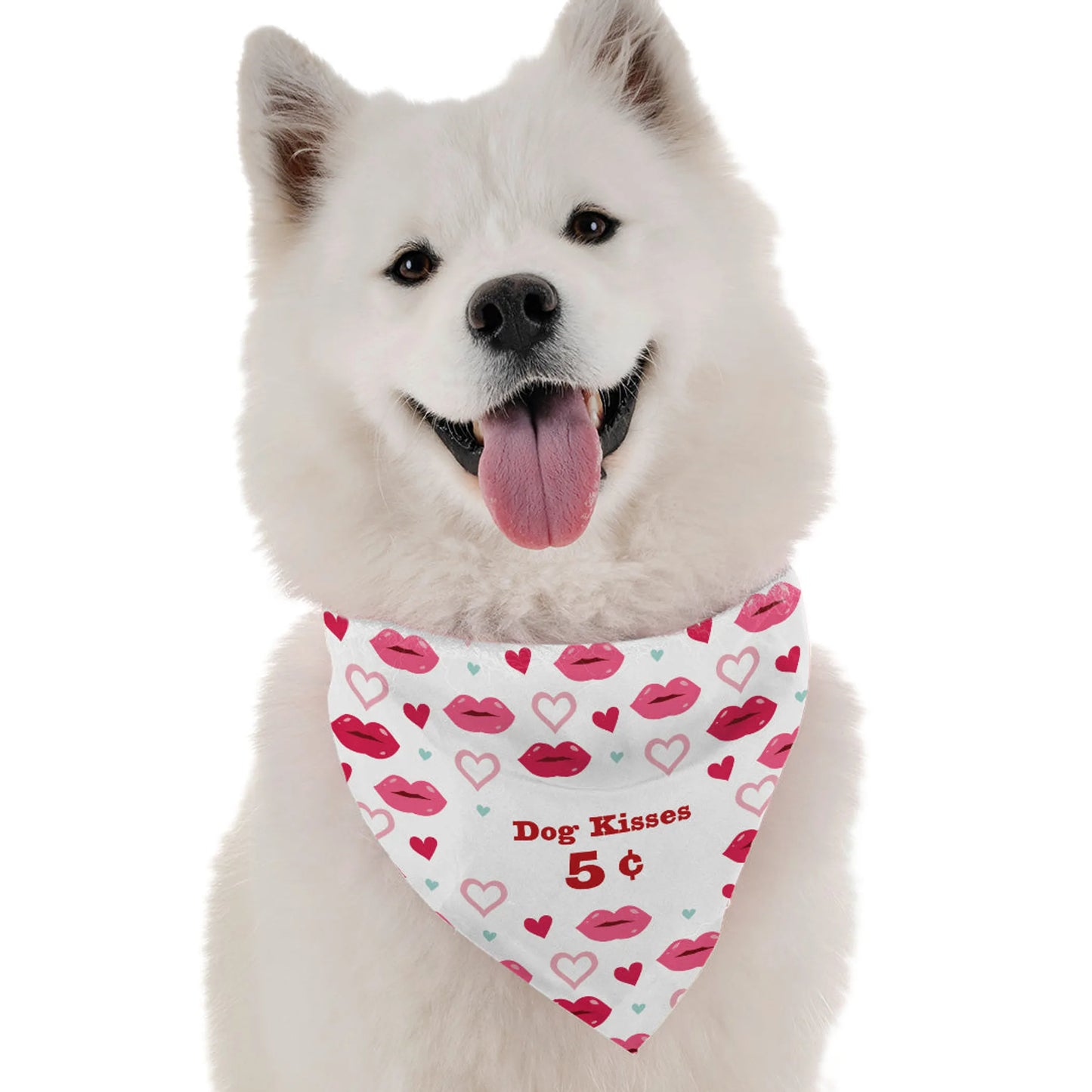 Bandoggies Festive Microfiber Dog Bandanas - Adjustable Fit