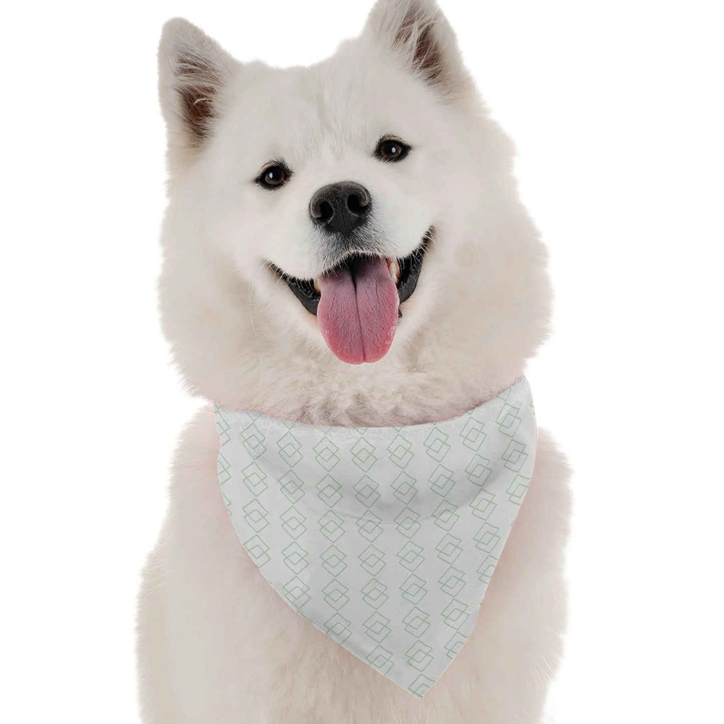 Bandoggies Silk Dog Bandanas 50cm