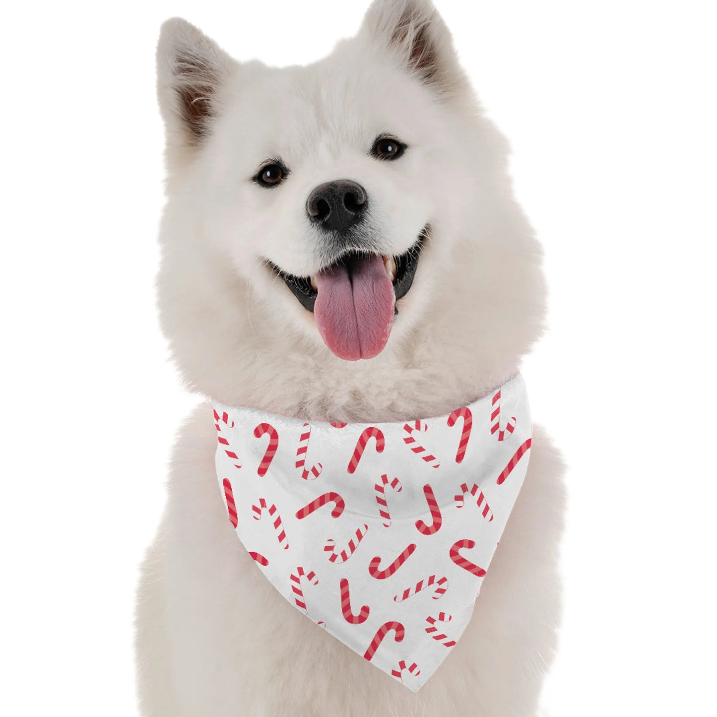 Bandoggies Festive Dog Bandanas 30 Inches