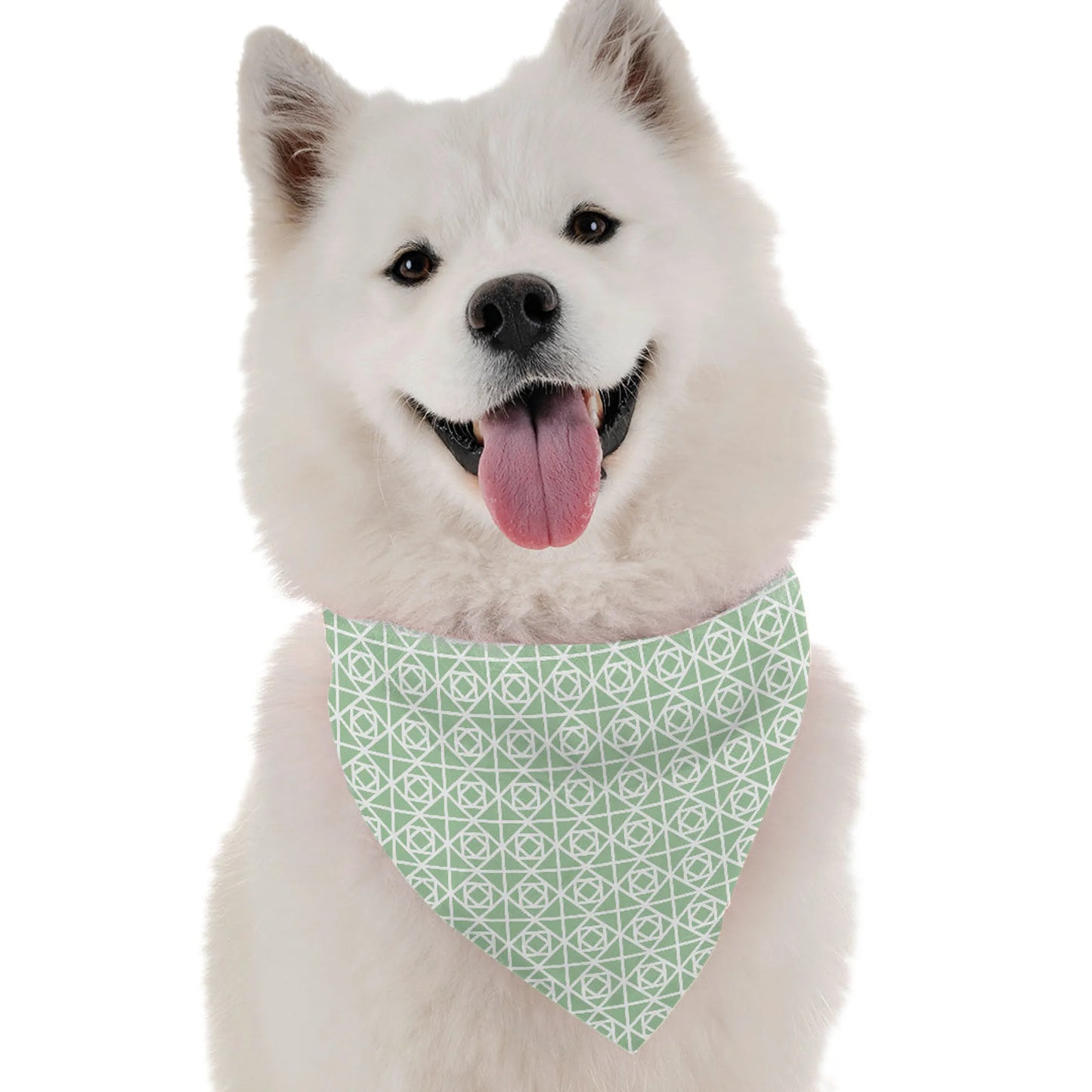 Bandoggies Modern Dog Bandana One Size