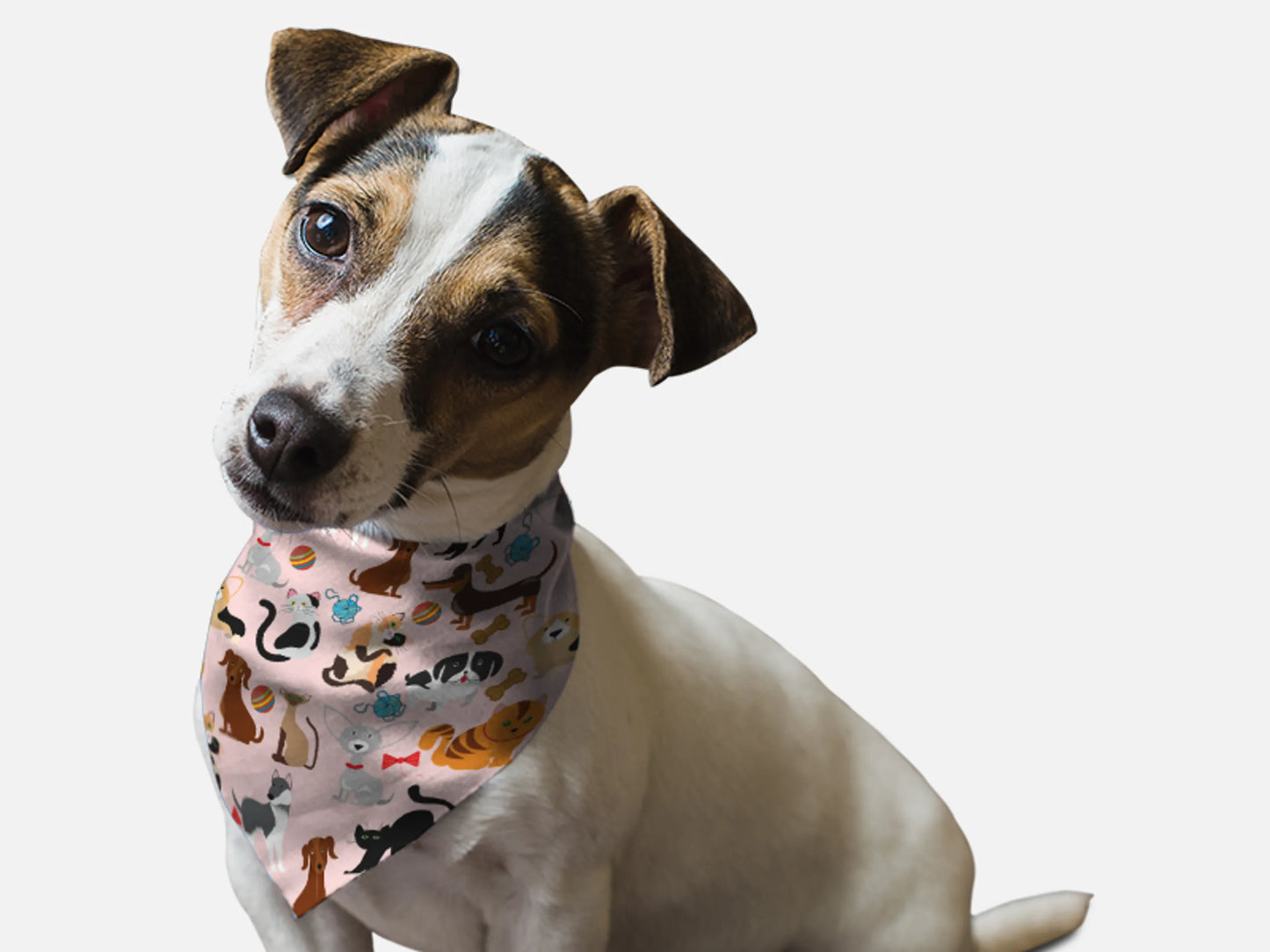 Bandoggies Vibrant Dog Bandanas 20 Inch