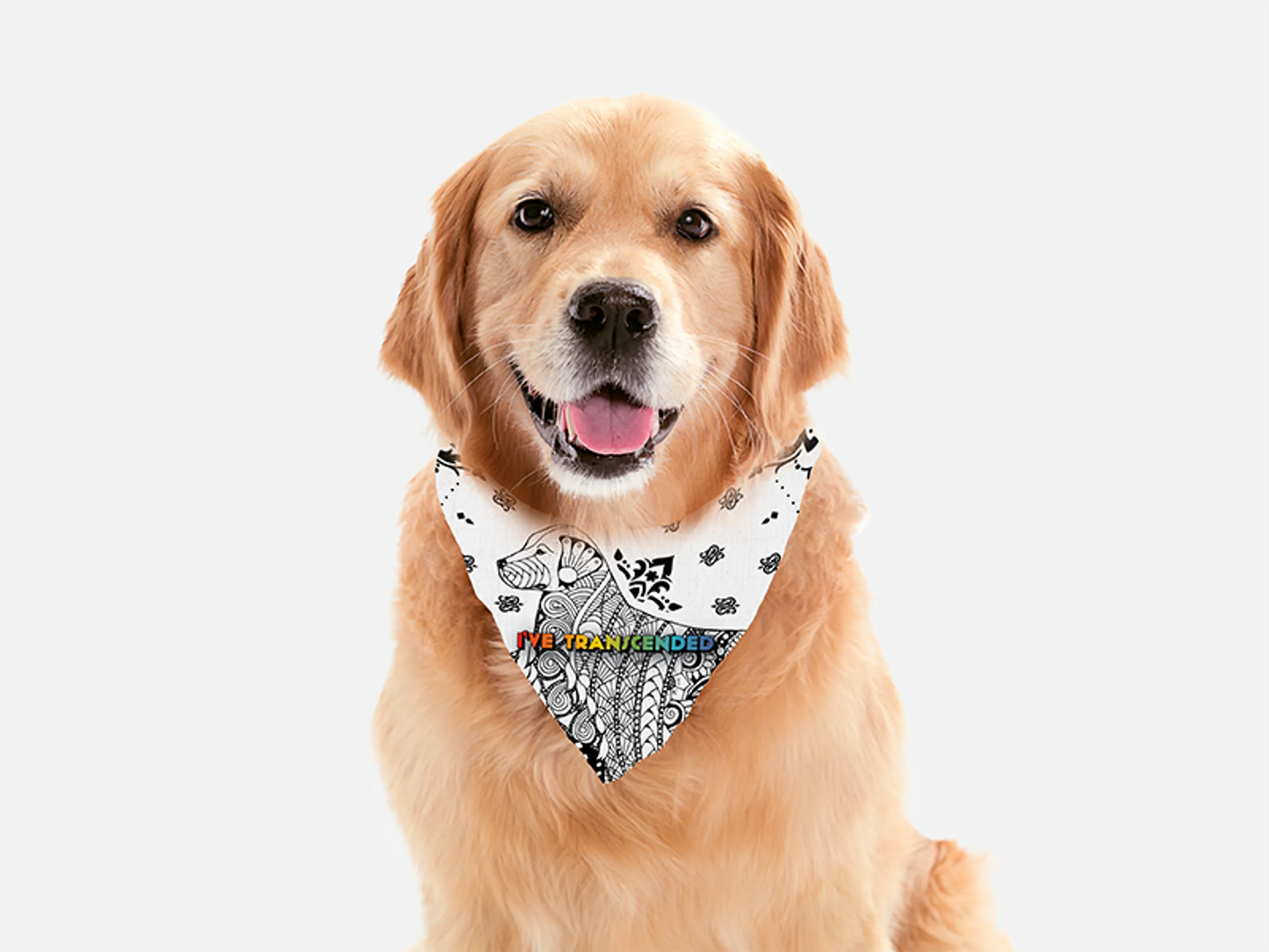 Bandoggies Stylish Dog Bandanas Adjustable