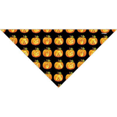 Jack-O-Lanterns - Your Pet Connection