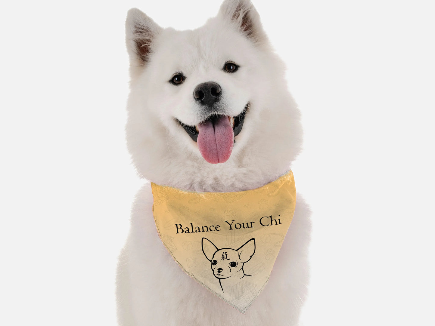 Balance Your Chi - Your Pet Connection