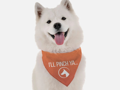 I'll Pinch Ya - Your Pet Connection