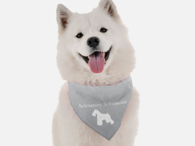 Bandoggies Colorful Dog Bandanas for All Sizes