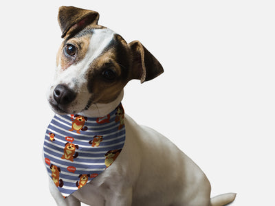 Bandoggies Stylish Microfiber Dog Bandanas