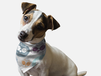 Bandoggies Stylish Summer Dog Bandanas