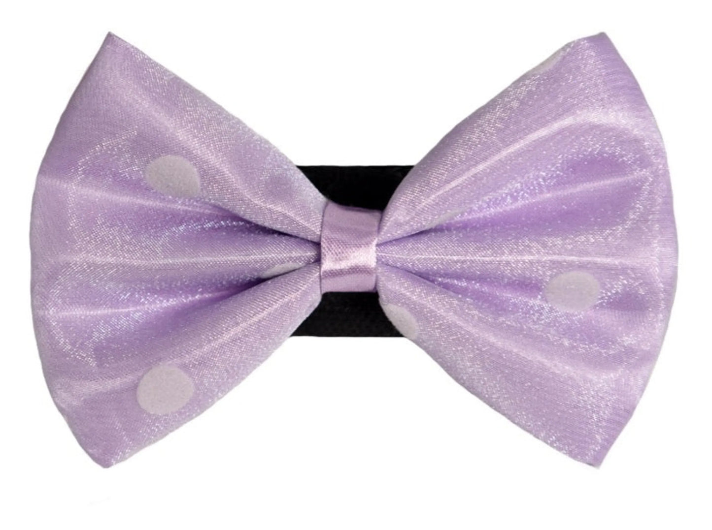PR1001|Pets Ribbons - Your Pet Connection