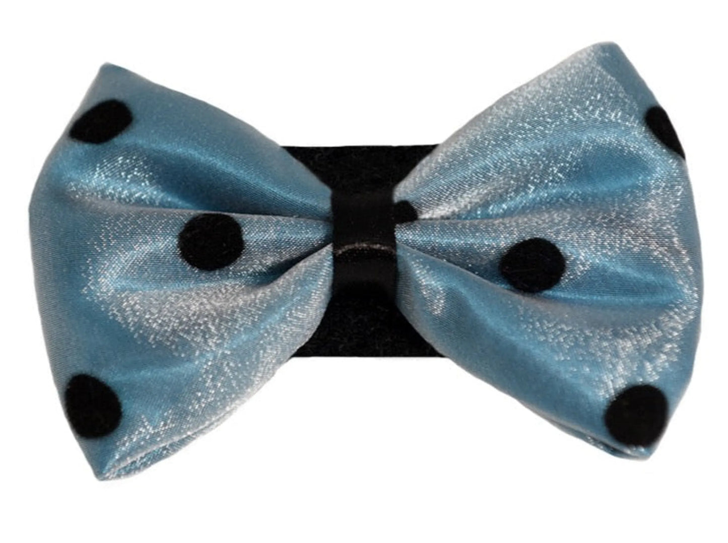 PR1001|Pets Ribbons - Your Pet Connection