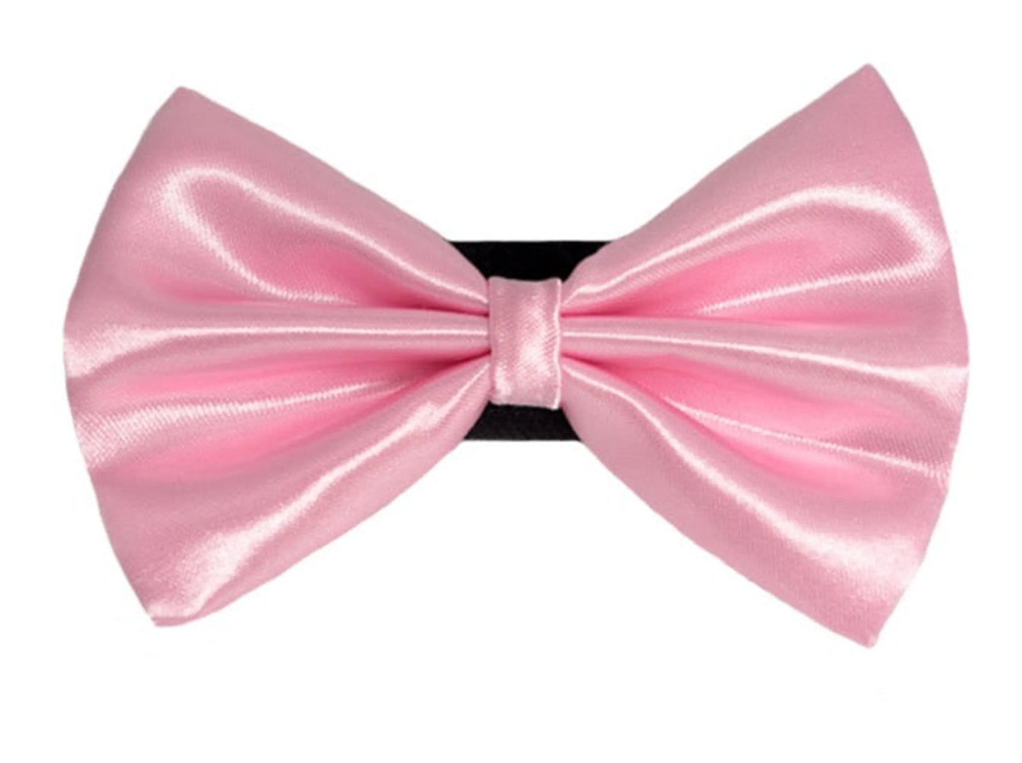 PR3000|Pets Ribbons - Your Pet Connection