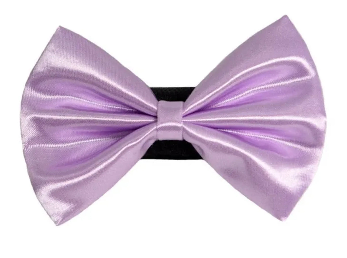 PR3000|Pets Ribbons - Your Pet Connection