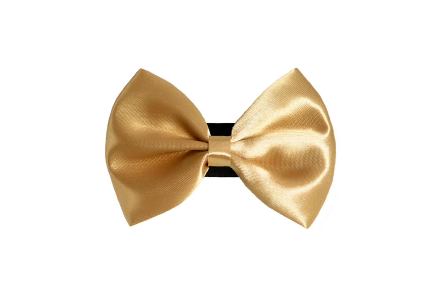 PR3000|Pets Ribbons - Your Pet Connection