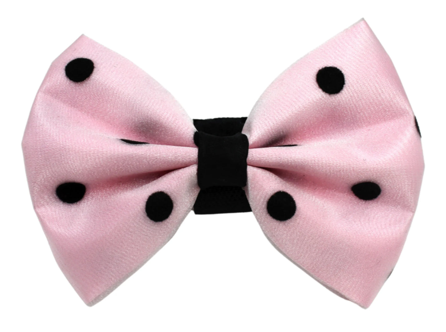 PR1001|Pets Ribbons - Your Pet Connection