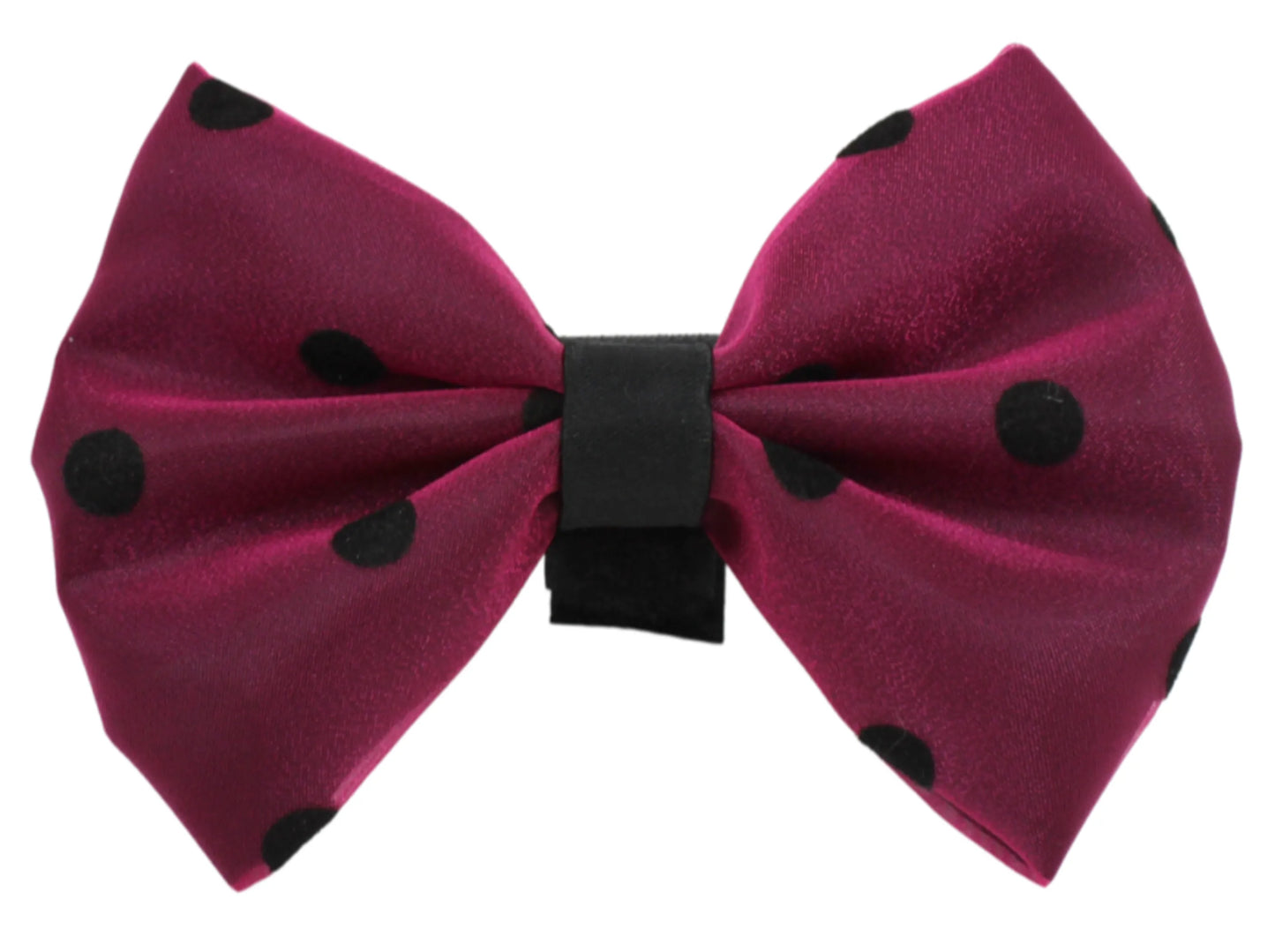 PR1001|Pets Ribbons - Your Pet Connection
