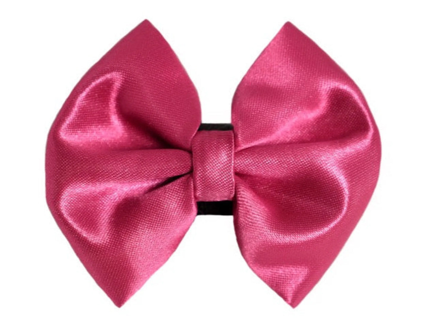 PR3000|Pets Ribbons - Your Pet Connection