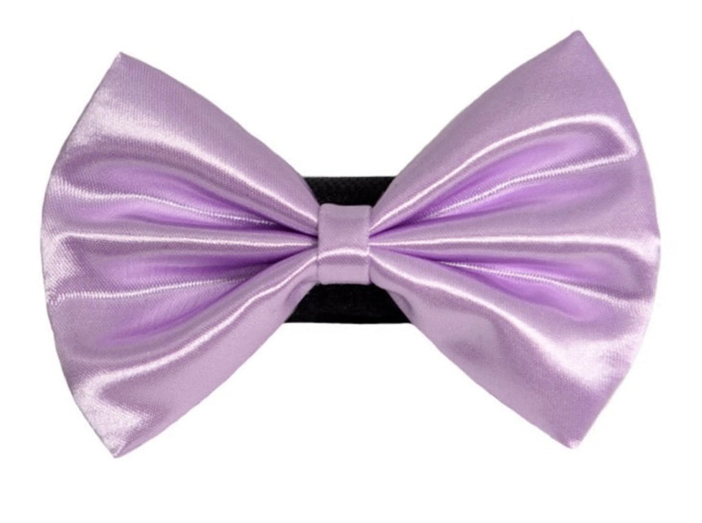PR3000|Pets Ribbons - Your Pet Connection