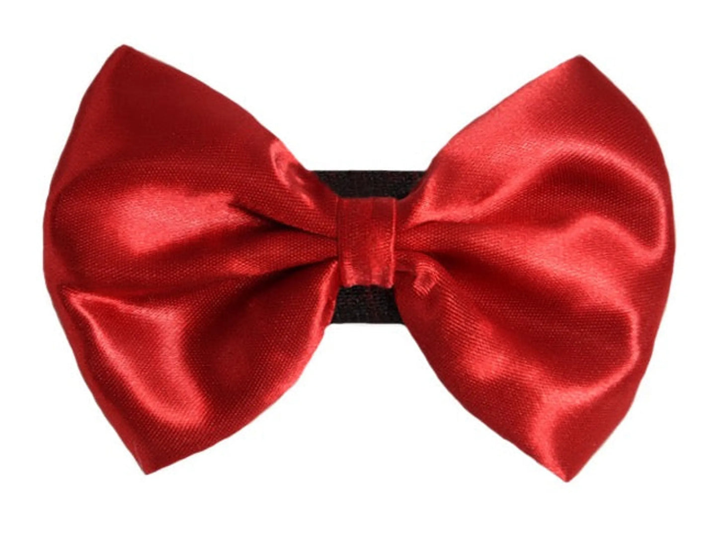 PR3000|Pets Ribbons - Your Pet Connection