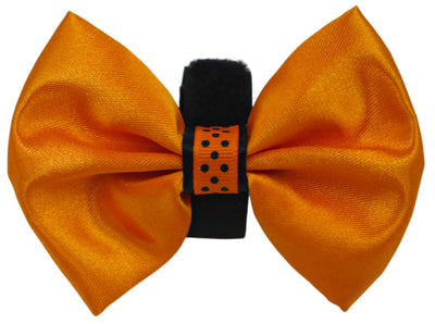 PR3000HD|Pets Ribbons - Your Pet Connection