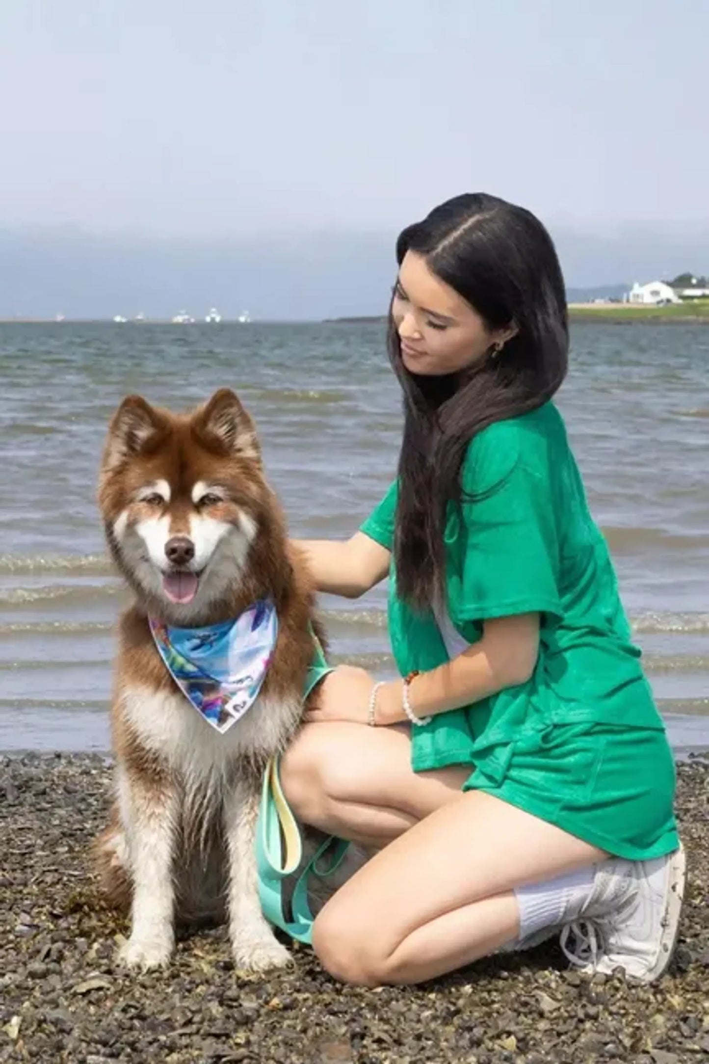Sea Turtle Swim Dog Bandana - Your Pet Connection