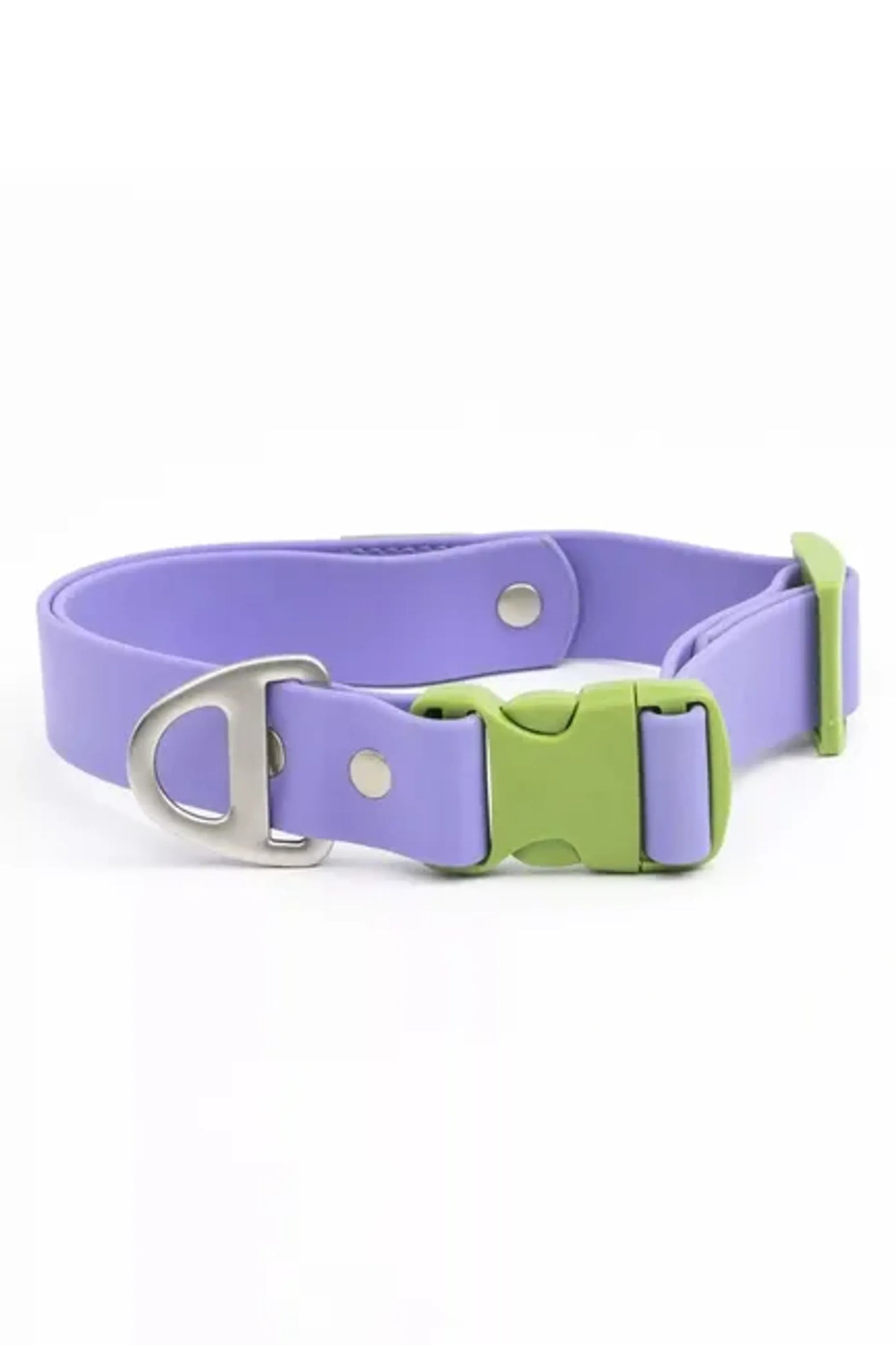 Lavender Garden Waterproof Dog Collar - Your Pet Connection
