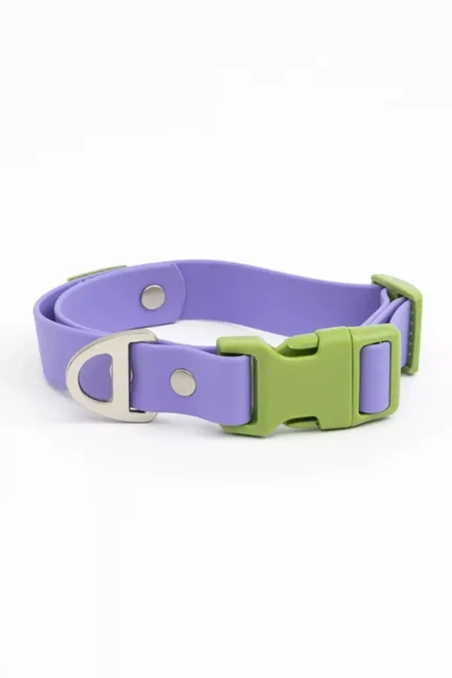 Lavender Garden Waterproof Dog Collar - Your Pet Connection