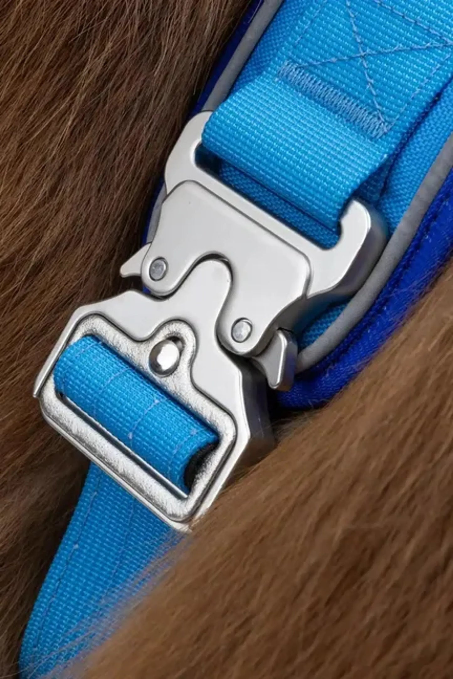 Aria the Fox Dockside Adventure Dog Harness