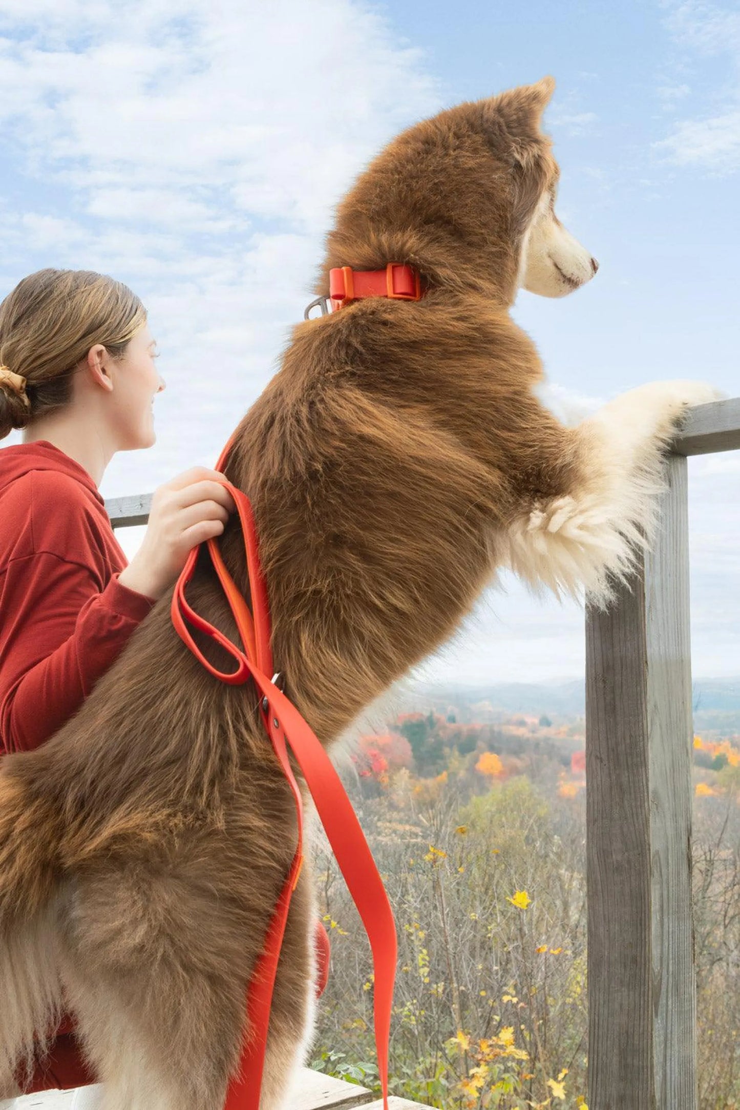 Aria the Fox Scarlet Peaks Leash 5ft