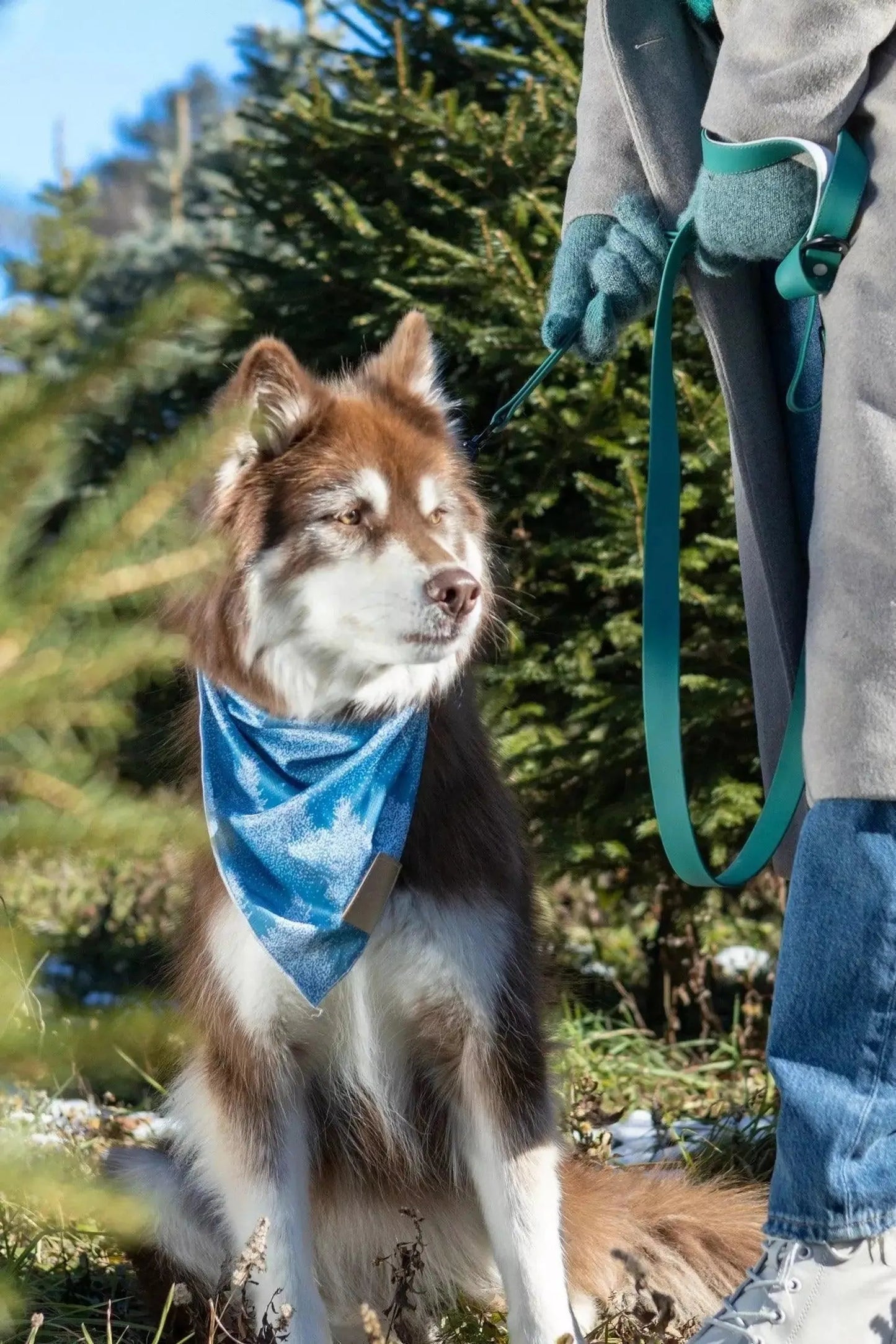 Siberian Spruce Dog Bandana & Matching Keychain - Your Pet Connection