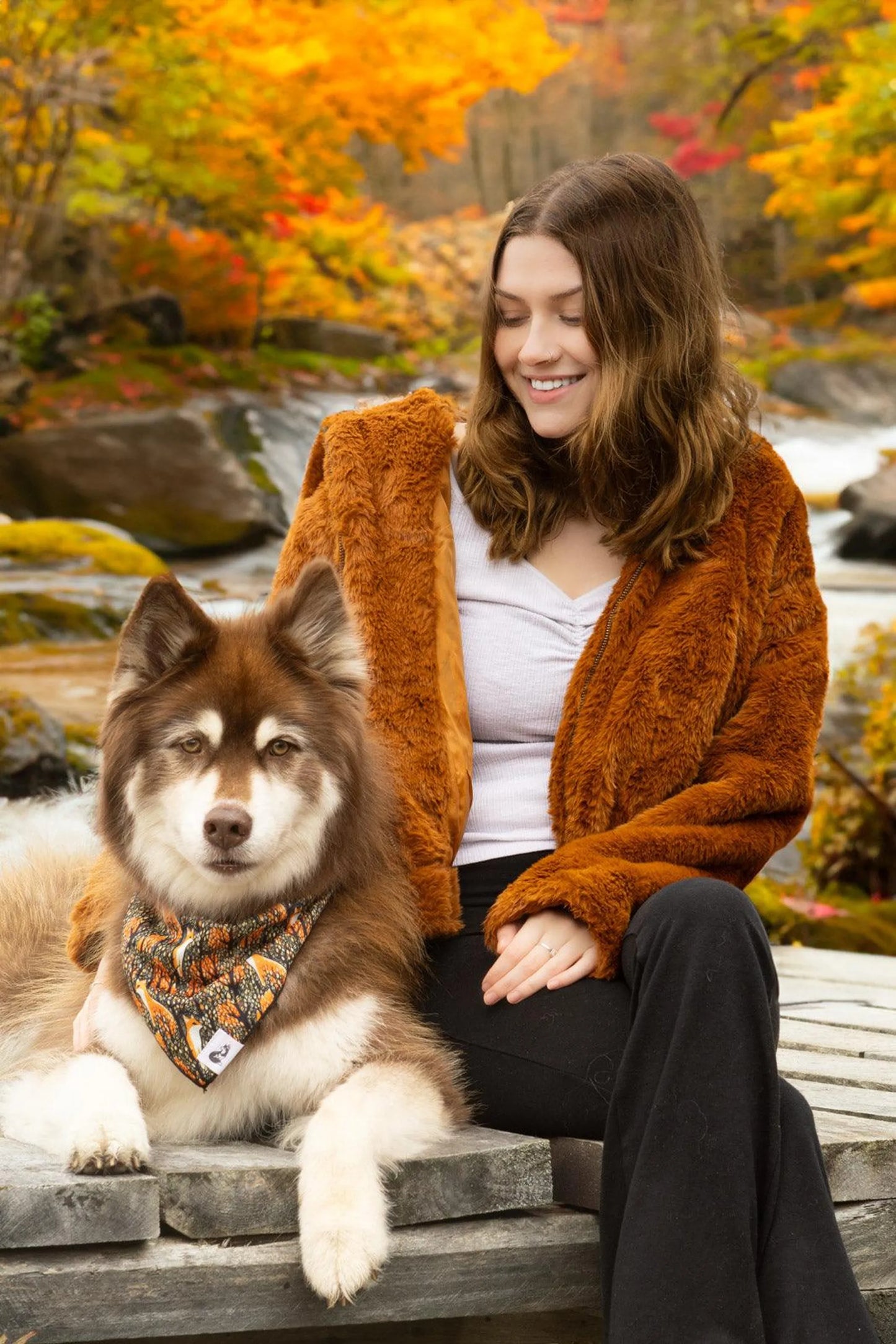 Foxes in Fall Dog Bandana & Matching Keychain - Your Pet Connection