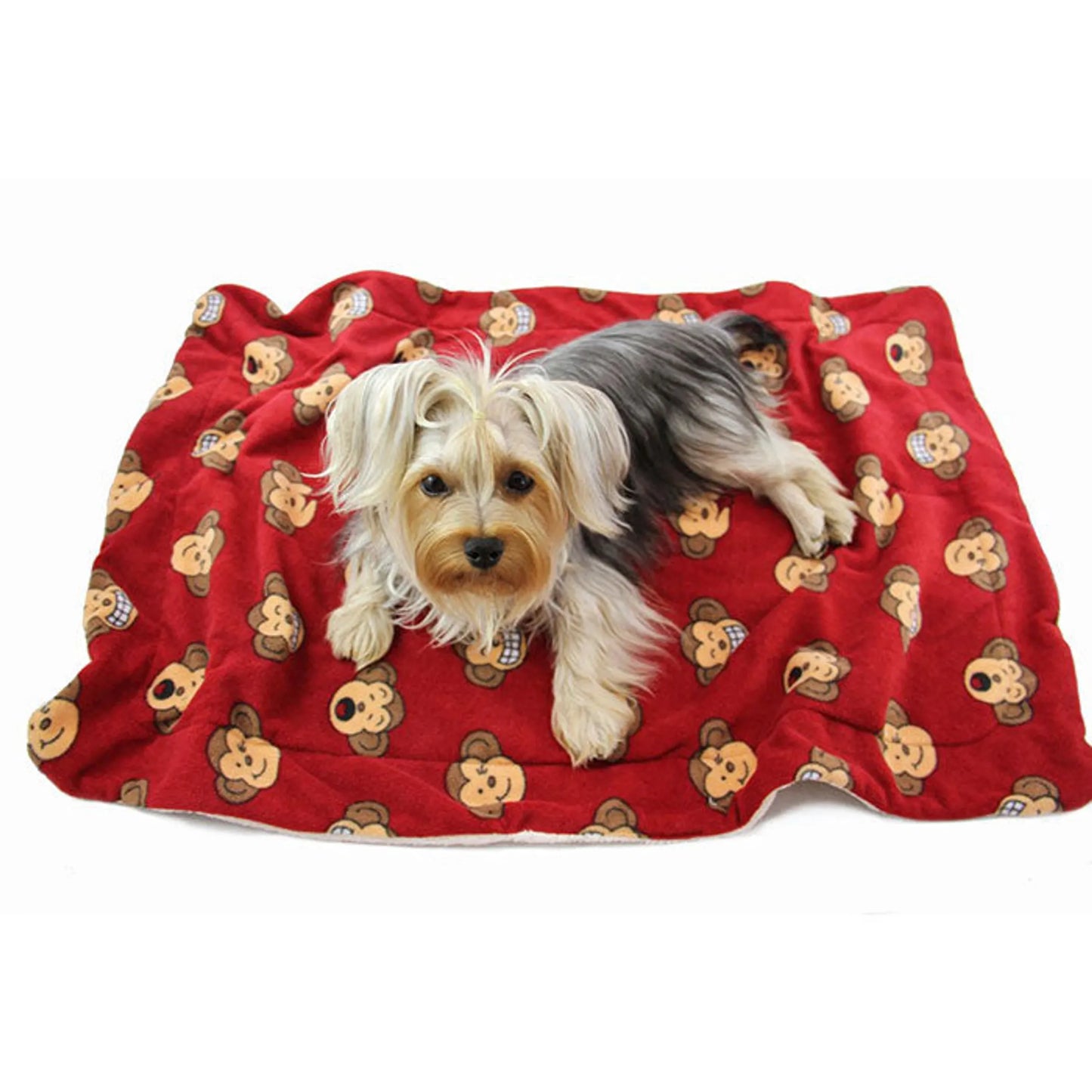 Silly Monkey Ultra-Plush Blanket - Your Pet Connection