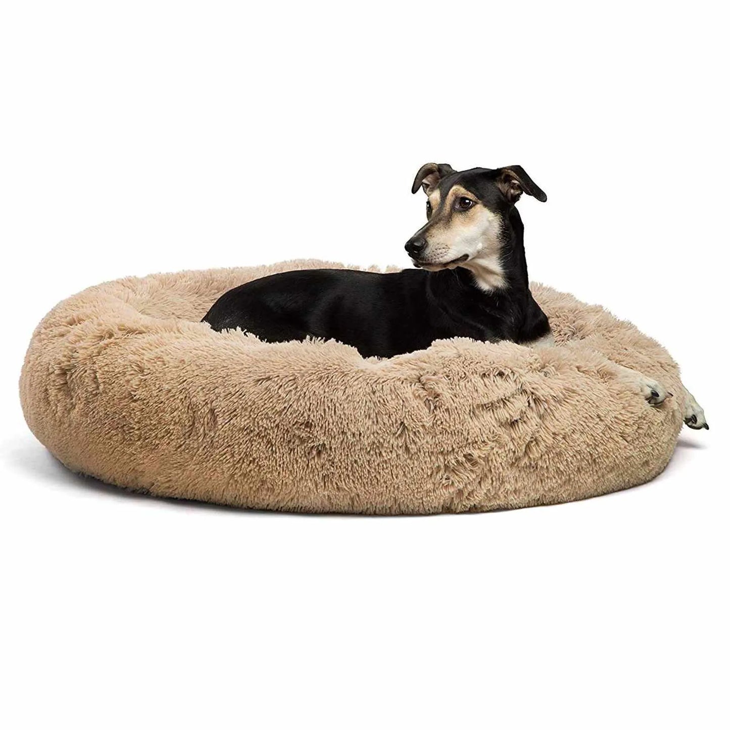 Best Friends by Sheri Original Calming Donut Bed 30-inch