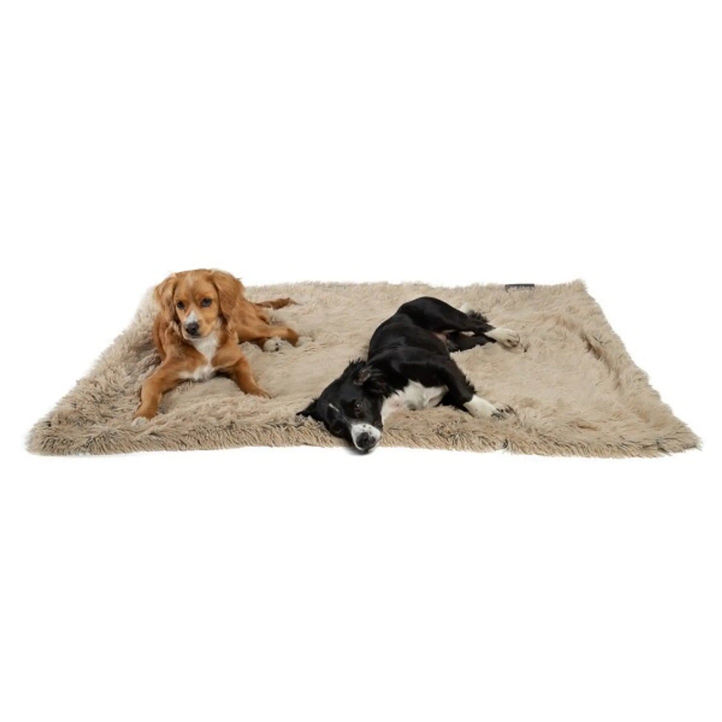 Best Friends by Sheri Cozy Shag Blanket for Pets