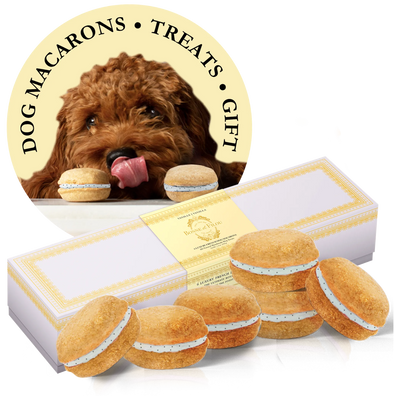 Dog Macarons - Box of 6 (Available in 12 Flavors)