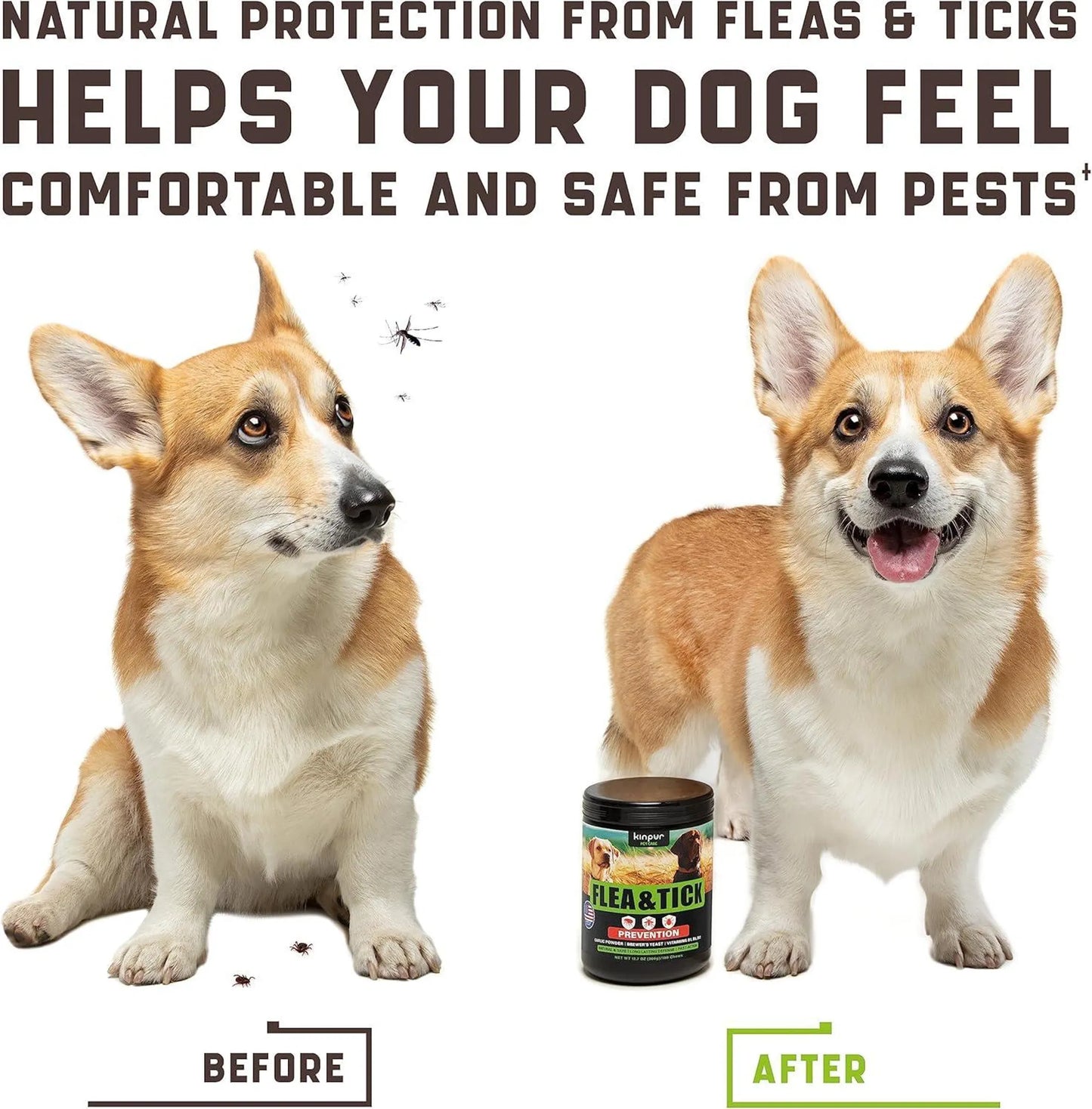 Flea and Tick Prevention Chewable for Dogs - Your Pet Connection