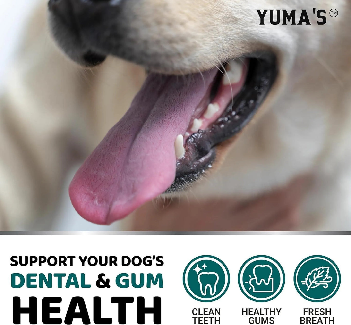Yuma'S Advanced Pet Dental Powder 150g