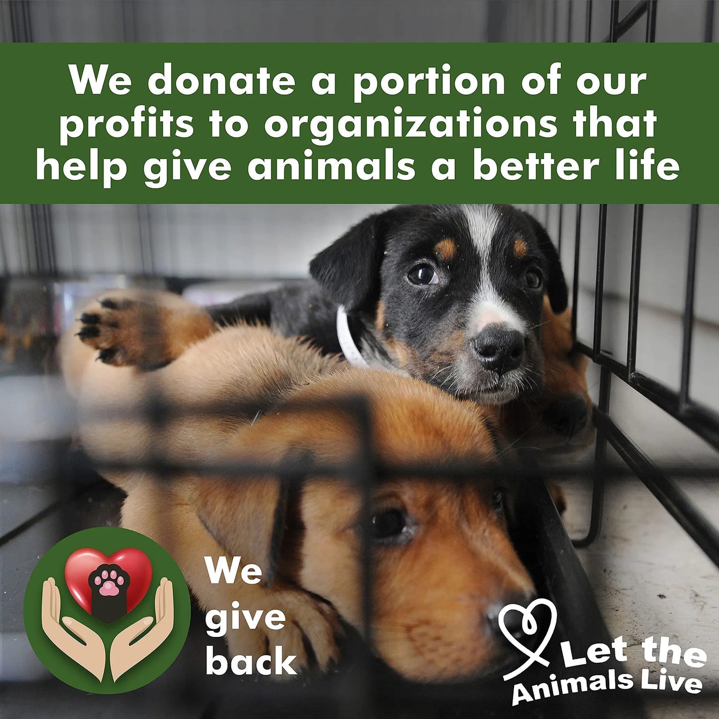 Arava - Dead Sea Pet Spa Natural Puppy Wipes 50 Pack