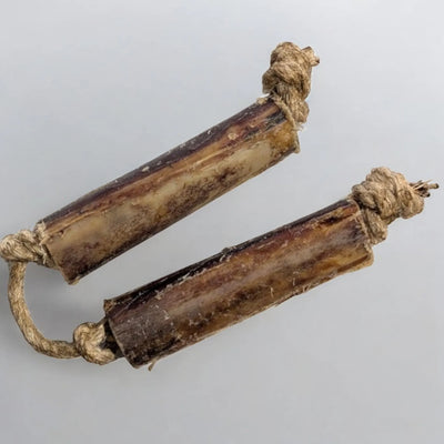 Ostrich Bone Chew with Rope : The Ultimate Chew Toy for Avid Chewers & Active Dogs - Your Pet Connection