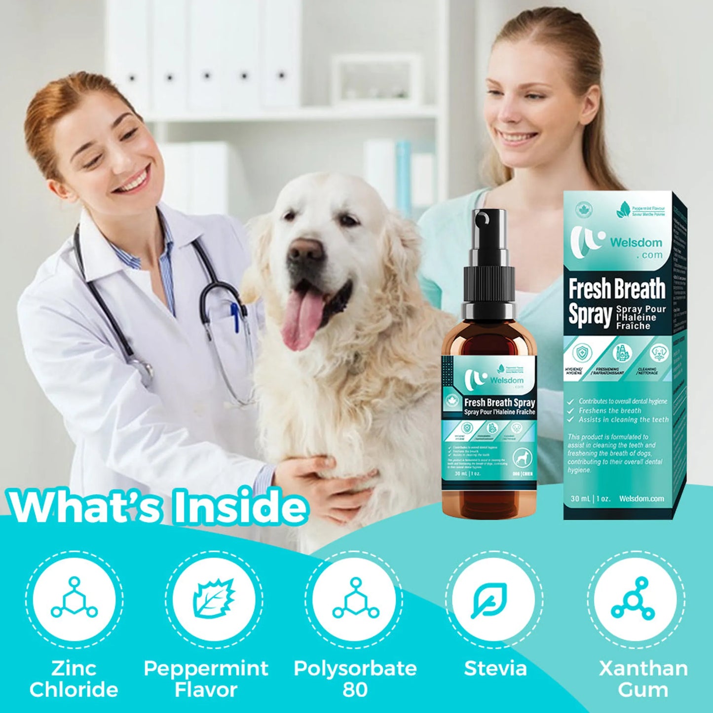 Welsdom Fresh Breath Oral Care Spray 60ml