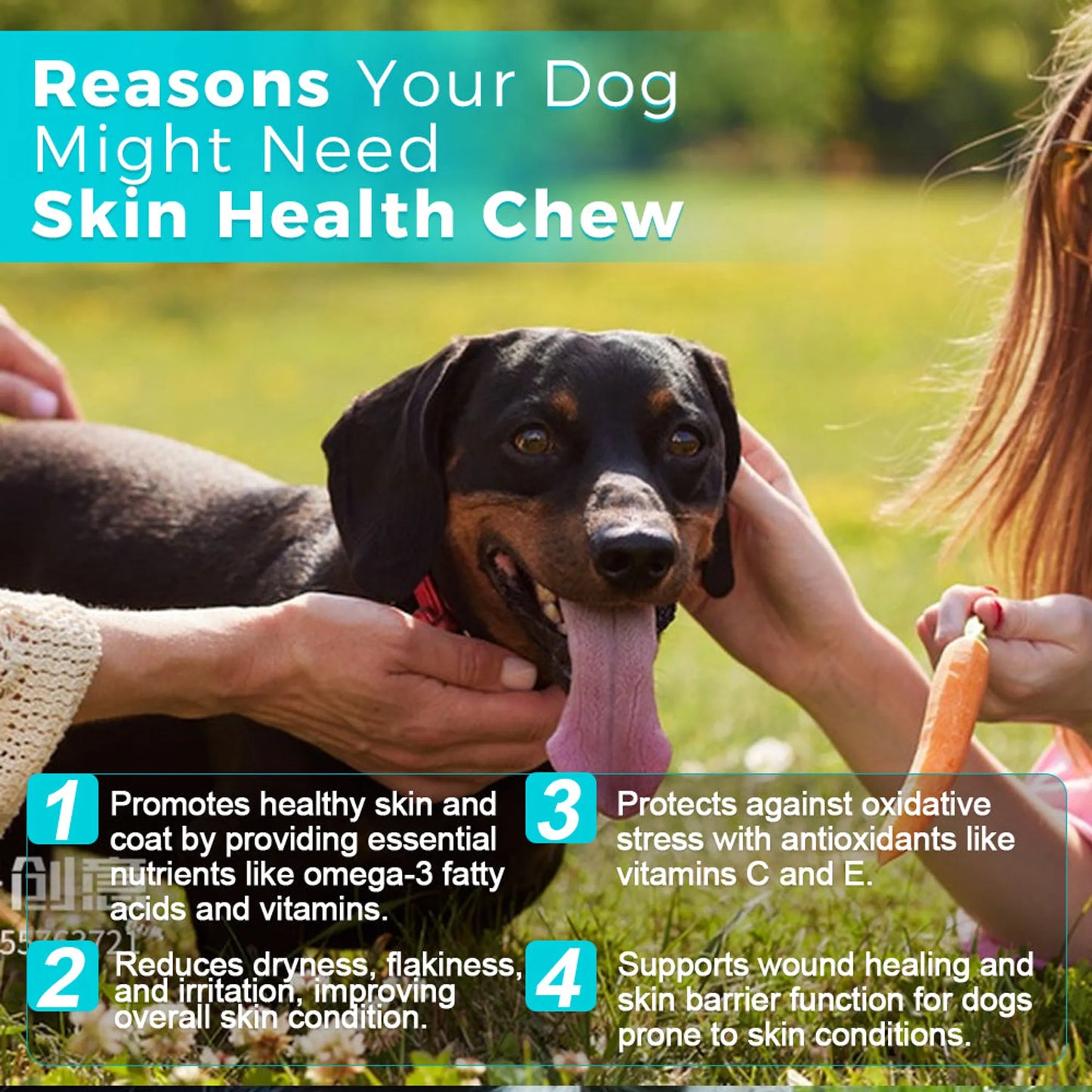 Welsdom Skin Health Chews 30 Count