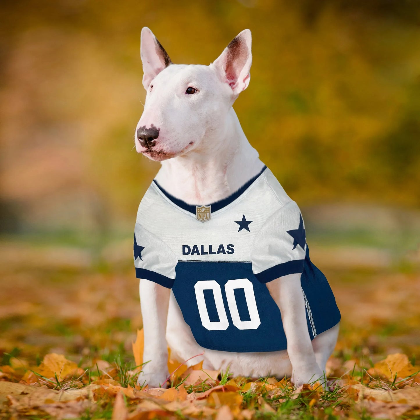 Dallas Cowboys Throwback Jersey - Your Pet Connection