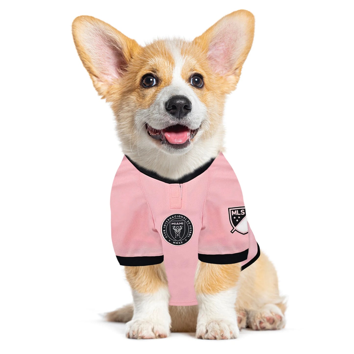 Inter Miami CF Pet Jersey - Your Pet Connection