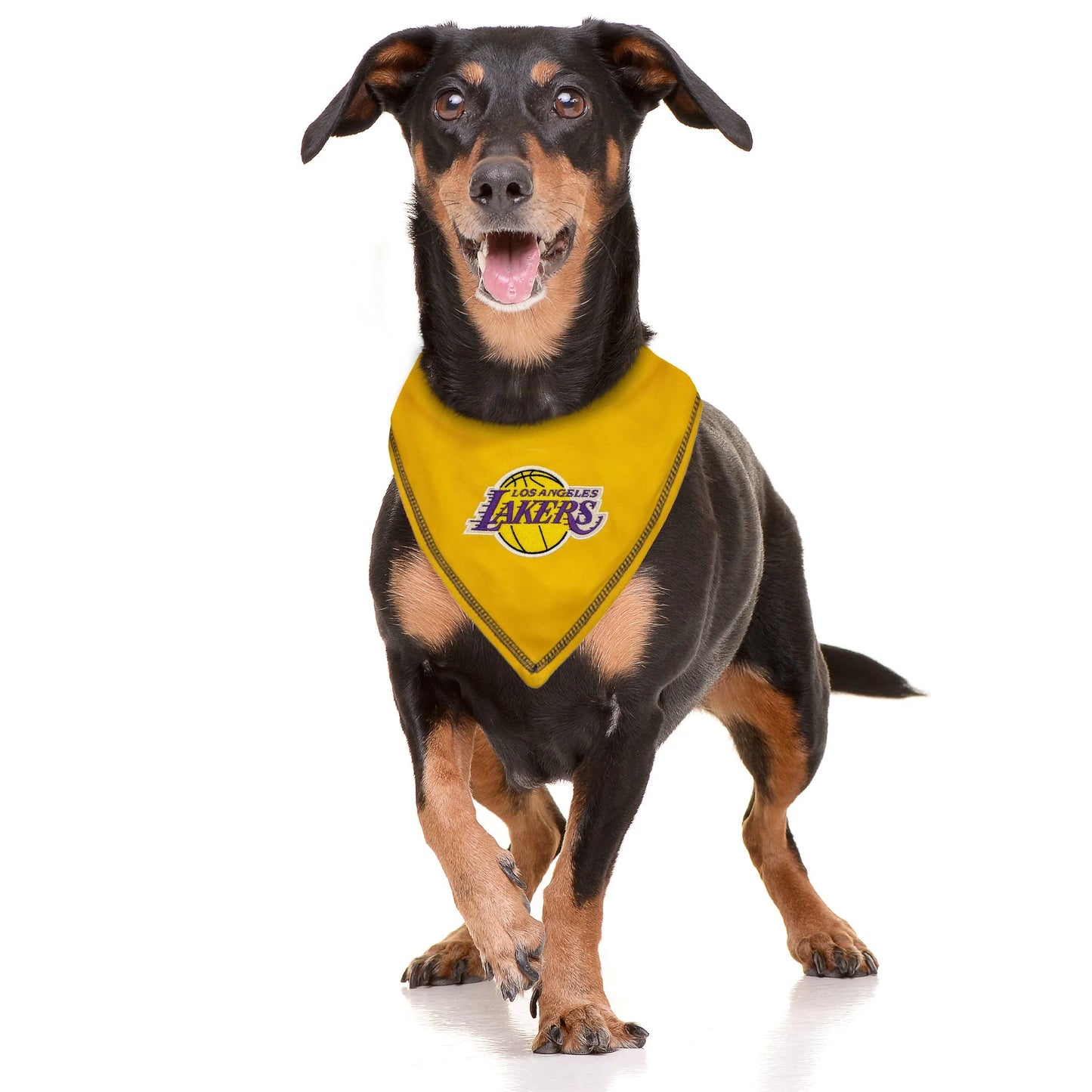 LA LAKERS TIE AROUND BANDANA - Your Pet Connection