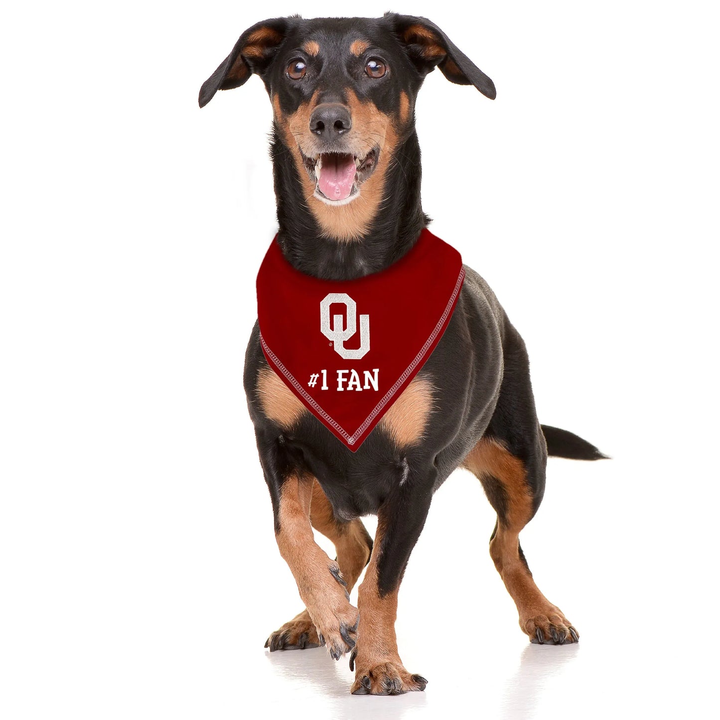 OKLAHOMA TIE AROUND BANDANA - Your Pet Connection