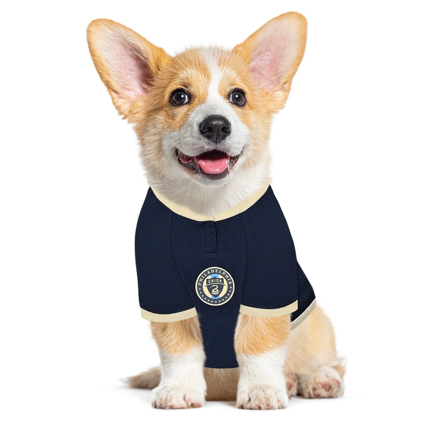 Philadelphia Union Pet Jersey - Your Pet Connection