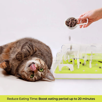Puzzle Cat Slow Feeder Treat Maze